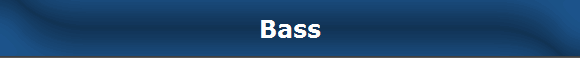 Bass