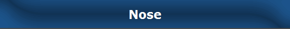 Nose