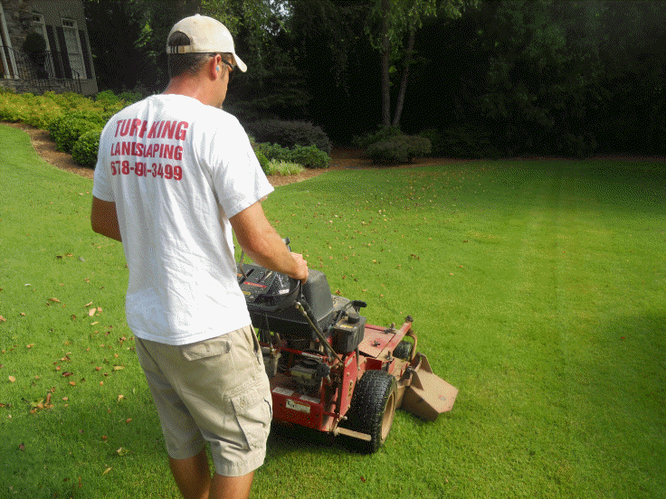 Seasonal Plantings