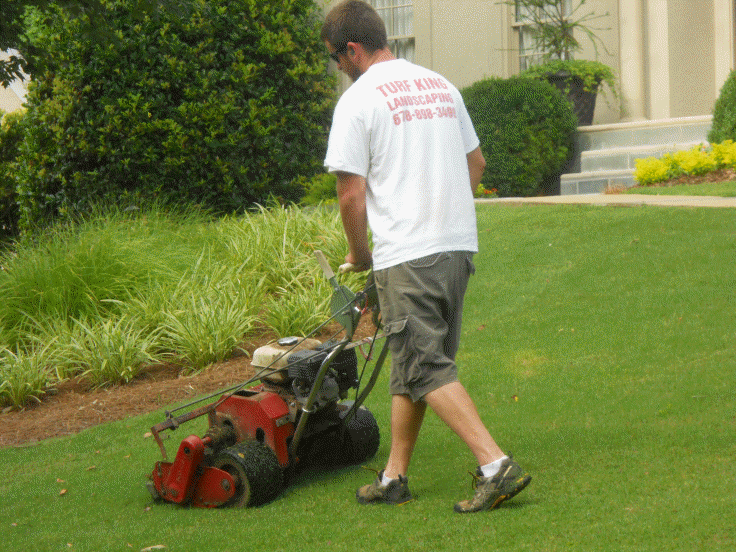 Turf Green Mowers