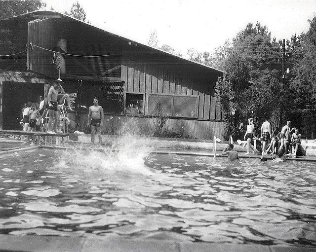 kellysprings